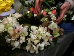 HD: Selling Bouquets Stock Footage