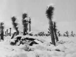 Ice storm hits Mojave Desert Stock Footage