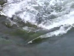 WS ARIEAL ZO View of Reversing falls / Maine, United States Stock Footage