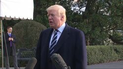 Trump on Flynn Guilty Plea: 'No Collusion' Instructional Video