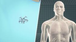 New material developed by Danish scientists that can absorb, store and release oxygen Instructional Video