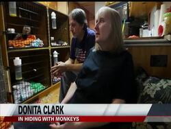 A crackdown on monkey owners gains steam across the United States, forcing one couple to flee Louisiana with their four monkeys. For now, Jim and Donita Clark are living in an RV, tending to animals they consider children. News Clip