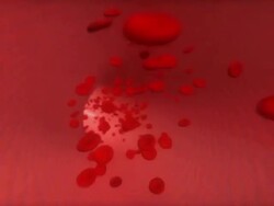 Blood Flow Animation Stock Footage