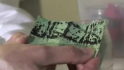 CLEAN : Zika virus could one day reach Paris French research lab News Clip