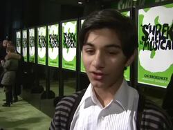 'Shrek the Musical' Broadway Opening Night Stock Footage