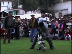 Men, women and children exchange blows in end of year ritual News Clip