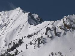 MS Shot of snow cover ridge after winter storm / Alta, Utah, United States Stock Footage