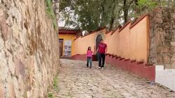 Hispanic brother and sister hold hands walking down third-world street; brother points as bird swoops past Stock Footage