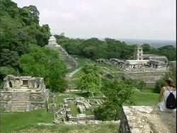 Palenque Mayan Ruins Mexico Stock Footage