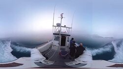 Arctic Icebergs on Arctic Ocean in Greenland. May 19, 2016 Stock Footage