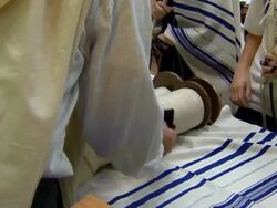 Reading The Torah Bible Stock Footage