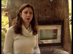 Orangutans use computers at US zoo News Clip