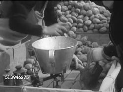 1953: WEST BERLIN MARKET: GERMANY: VS Woman at potato stand, male counting & weighing potatoes in bucket on scale, sign for price of potatoes, male pouring potatoes into bag. VS Housewives purchasing flowers from stand. Berlin Wall Instructional Video