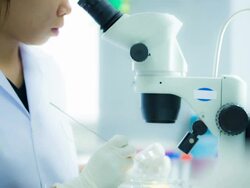 Scientist and bio lab experiment Stock Footage