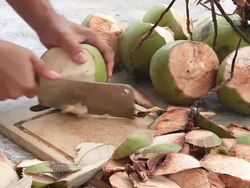 coconut Stock Footage