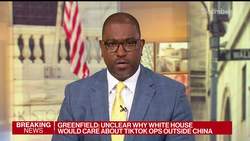 TikTok Might Be Separated, LightShed's Greenfield Says News Clip