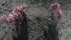 Graves of Mexican migrants in Texas News Clip