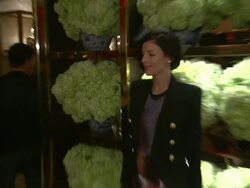Liberty Ross at Tory Burch Rodeo Drive Flagship Opening Stock Footage