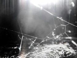 Dark spider web Stock Footage