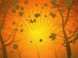 Fall Leaves Falling (HD) Stock Footage