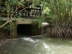 Garden ,HD Stock Footage