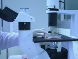 Scientist working at laboratory Stock Footage