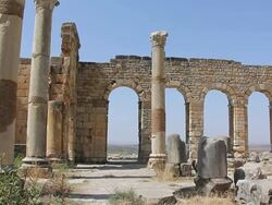 MS Shot of Arch of Volubilis ruins / Volubilis, Morocco Stock Footage