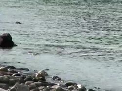 Hot Rocky Beach Stock Footage