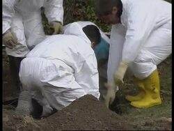 KOSOVO: GRASTICA: 15 BODIES DISCOVERED News Clip