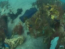 MS POV View of sea seaweed polluted / Beyrout sea, Lebanon Stock Footage