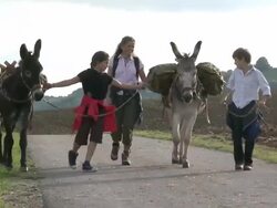 WS ZO PAN Family with donkey at walking tour / Mannebach, Rhineland-Palatinate, Germany                             Stock Footage