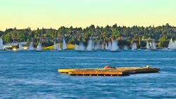 Sail Boats On Lake Union Stock Footage