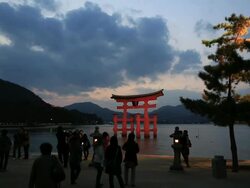 MS Shot of People walking near Itsukushima Shrine,UNESCO World Heritage / Hatsukaichi, Hiroshima Prefecture, Japan Stock Footage