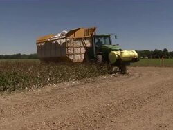 Shot of tractor moving across a dirt road towards the camera, pulling a cotton wagon in tow.  Stock Footage