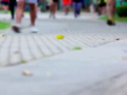 People running in the park Stock Footage