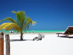 Tropical Beach Stock Footage