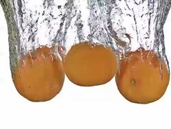 Tree Clementines, citrus clementina,  falling into water against white background, Slow motion Stock Footage