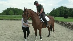Hannover startup develops horse fitness tech News Clip