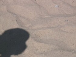 Steam shadow - HD 1080/60i Stock Footage