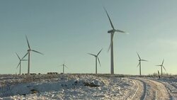 Wind turbines and sheep at wind farm News Clip