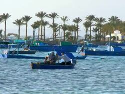 WS Fishermen sitting in boat at red sea bay with palm trees in background / Hurghada, Red Sea coast, Egypt Stock Footage