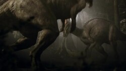 Two Parasaurolophus dinosaurs clash in a prehistoric forest in a computer generated animation. Stock Footage