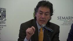 Storms led to deaths of millions of butterflies Instructional Video