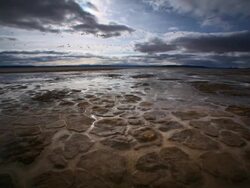 WS T/L POV View of water evaporating on desert floor / Alvard Desert, Oregon, United States Stock Footage