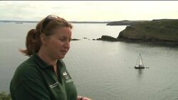 Puffin sanctuary threatened by global warming News Clip
