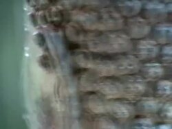 HD 1080i Rotating Buddha Head 2 Stock Footage