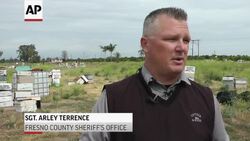 Beehive Thief Busted By Fresno Authorities Instructional Video