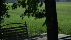 Bench - Stock Footage Stock Footage