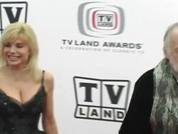 3rd Annual TV Land Awards Arrivals Stock Footage
