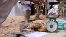 Fishermen rally to save Irrawaddy dolphins Instructional Video